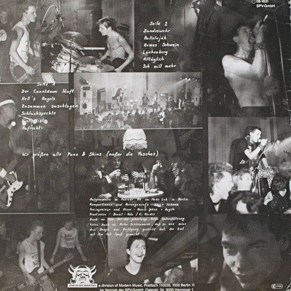 Daily Terror : Aufrecht (LP, Album)