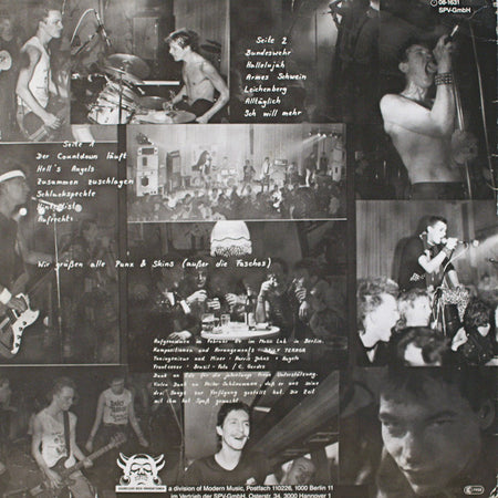 Daily Terror : Aufrecht (LP, Album)