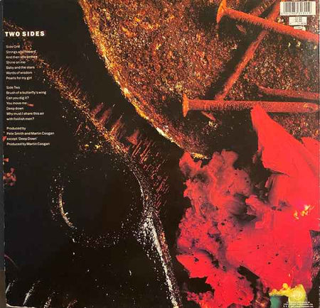 The Mock Turtles - Two Sides (LP) (Near Mint (NM or M-))