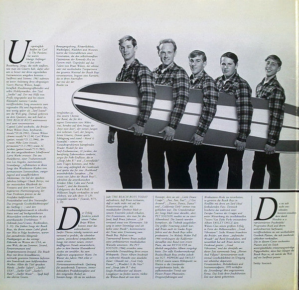 The Beach Boys : Gold Collection (2xLP, Comp, Gat)