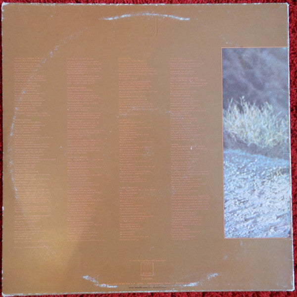 Stevie Wonder : Talking Book (LP, Album, RE)