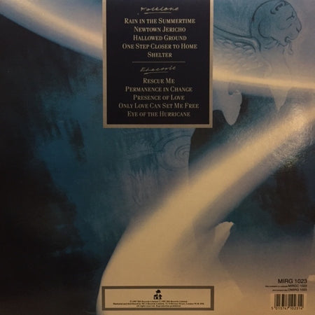 The Alarm : Eye Of The Hurricane (LP, Album)