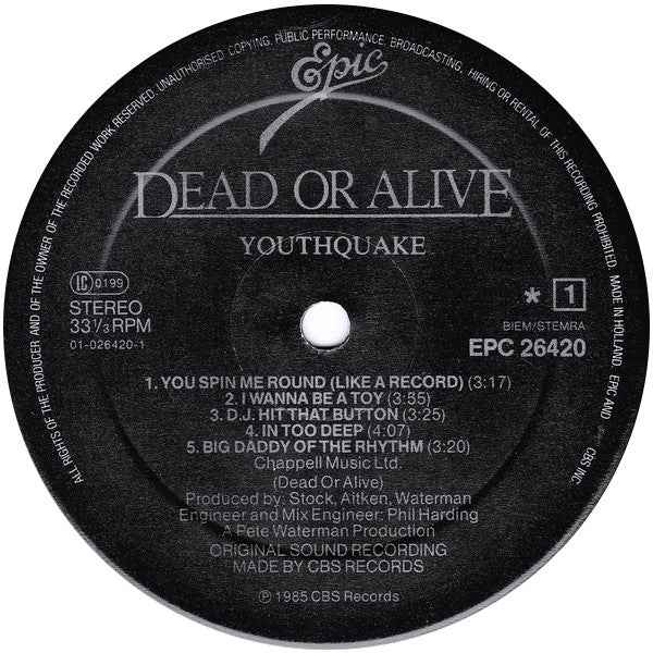 Dead Or Alive - Youthquake (LP) (Near Mint (NM or M-))