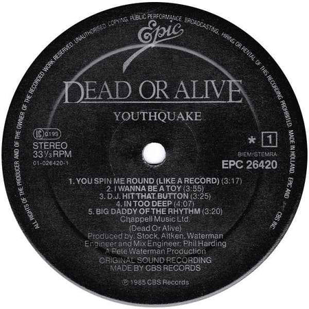 Dead Or Alive - Youthquake (LP) (Near Mint (NM or M-))