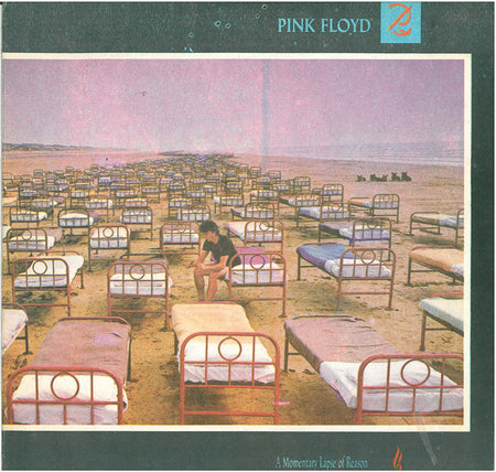 Pink Floyd = Pink Floyd : A Momentary Lapse Of Reason = Необяснима Постъпка (LP, Album)
