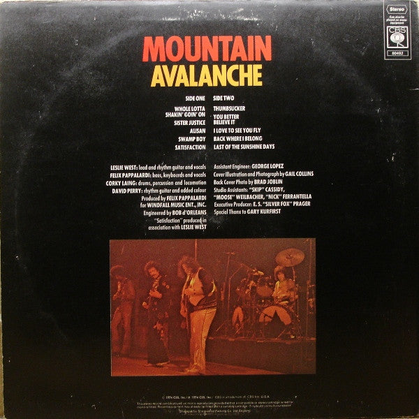 Mountain : Avalanche (LP, Album)