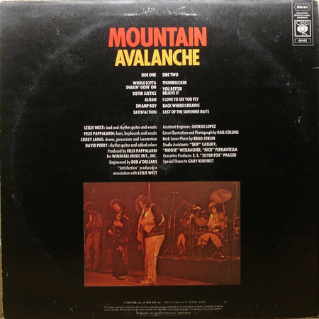 Mountain : Avalanche (LP, Album)
