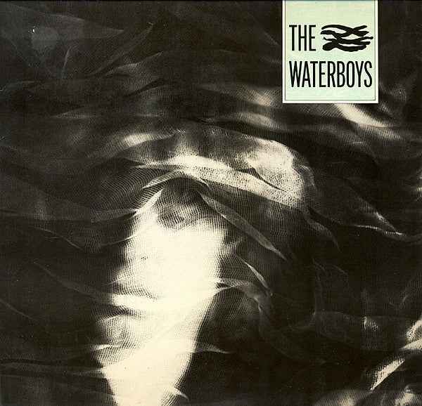 The Waterboys The Waterboys (LP) (Near Mint (NM Or M ))
