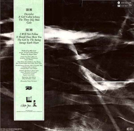 The Waterboys The Waterboys (LP) (Near Mint (NM Or M ))