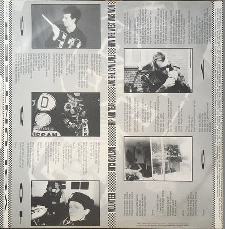 Sham 69 : Volunteer (LP, Album)