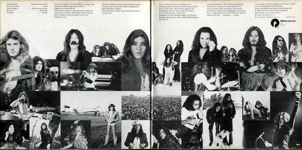 Deep Purple : Come Taste The Band (LP, Album, Gat)