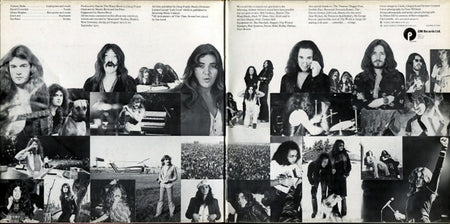 Deep Purple : Come Taste The Band (LP, Album, Gat)