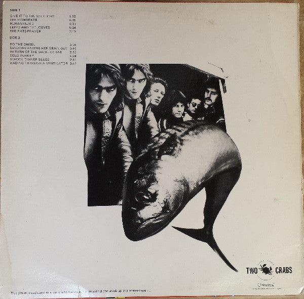 The Soft Boys : A Can Of Bees (LP, Album)