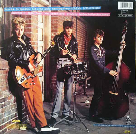 Stray Cats - Rant N' Rave With The Stray Cats (LP) (Near Mint (NM or M-))