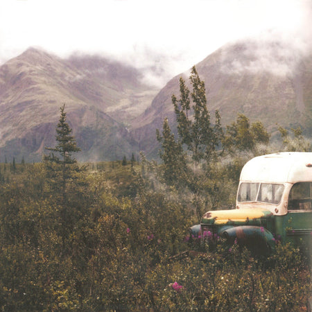 Eddie Vedder : Into The Wild (LP, Album, RE, 180)