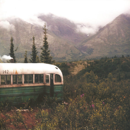 Eddie Vedder : Into The Wild (LP, Album, RE, 180)