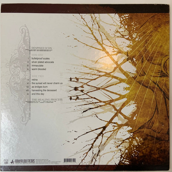 Despised Icon : The Healing Process (LP, Album)