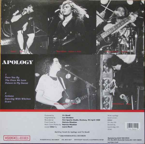 Apology - Pass You By (12") (Mint (M))