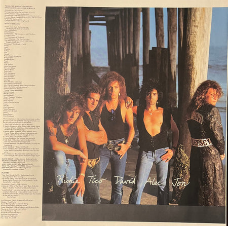 Bon Jovi : New Jersey (LP, Album)