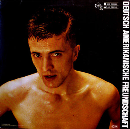 Deutsch Amerikanische Freundschaft : Alles Ist Gut (LP, Album)