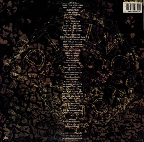 Diving For Pearls : Diving For Pearls (LP, Album)