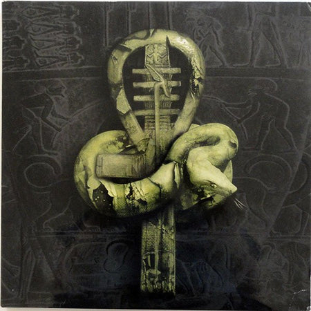 Nile (2) : In Their Darkened Shrines (2xLP, Album)