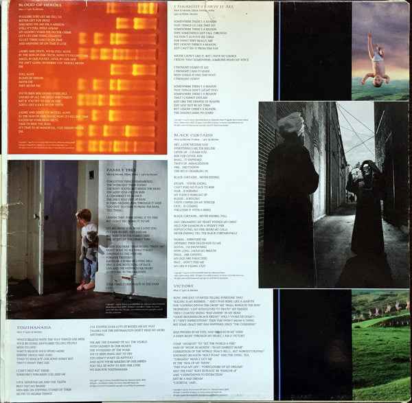 Megadeth - Youthanasia (LP) (Near Mint (NM or M-))