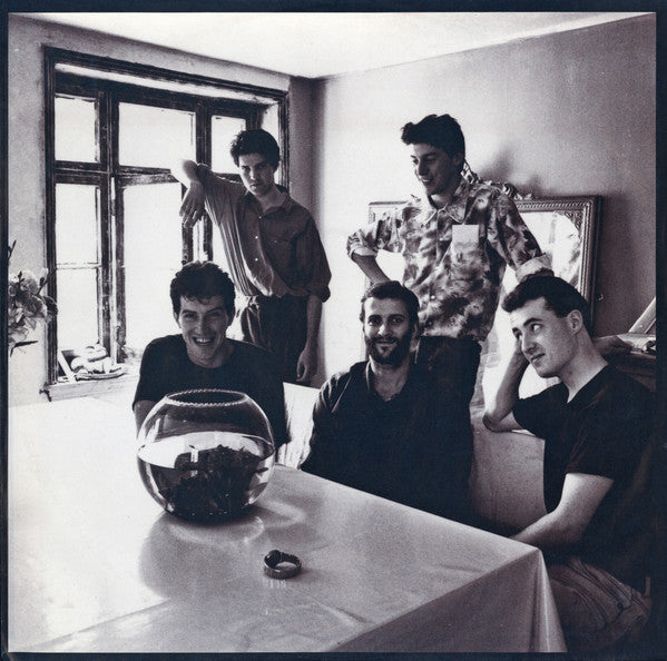 Lloyd Cole & The Commotions : Rattlesnakes (LP, Album)