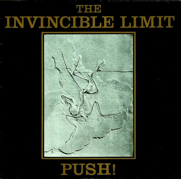 The Invincible Limit : Push! (12", Maxi)