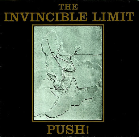 The Invincible Limit : Push! (12", Maxi)