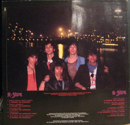 Sleeze Beez : Look Like Hell (LP, Album)
