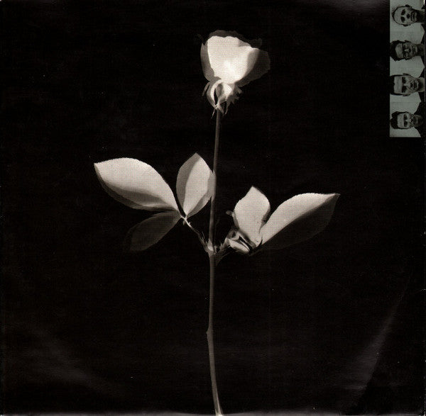 Depeche Mode : Violator (LP, Album, Clu)