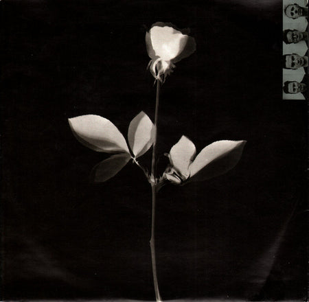 Depeche Mode : Violator (LP, Album, Clu)