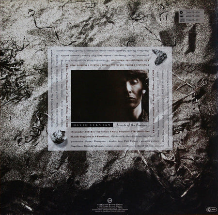 David Sylvian : Secrets Of The Beehive (LP, Album, Glo)