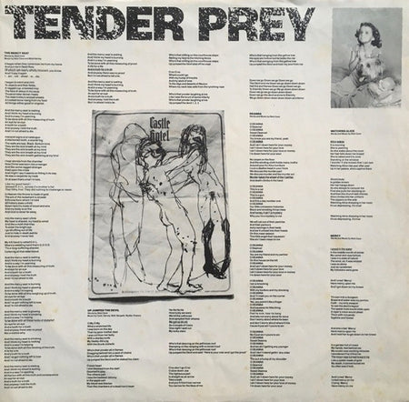 Nick Cave & The Bad Seeds : Tender Prey (LP, Album)