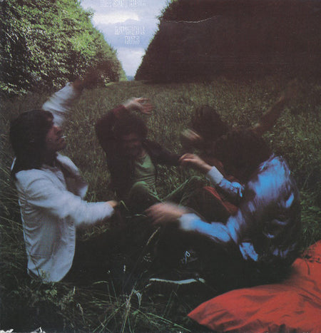 The Soft Boys : Invisible Hits (LP, Album)
